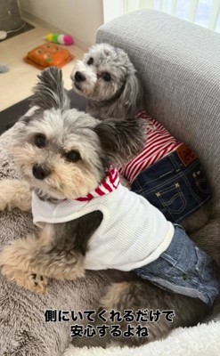 寂しくなるときはあるけれど…