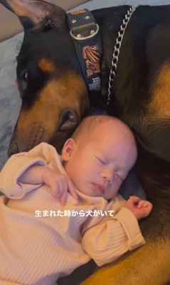 テンくんとニルくんと女の子の成長記録