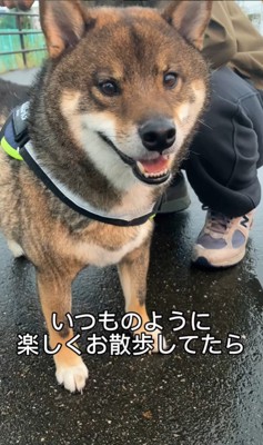 雨が降ってきた時のしんのすけ君