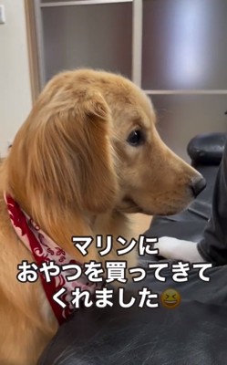 マリンちゃんにおやつを買ったお兄ちゃん