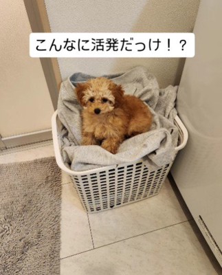 いたずらっ子なうるちゃんでした！！