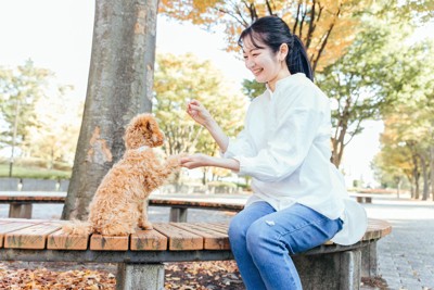 公園で犬と遊ぶ女性