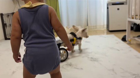 車椅子に挑戦する琥珀くん7