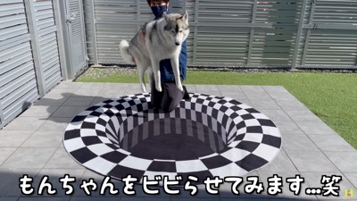 一緒に大ジャンプすると…