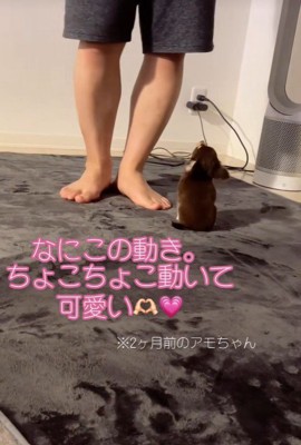 今度は右へちょこちょこ…