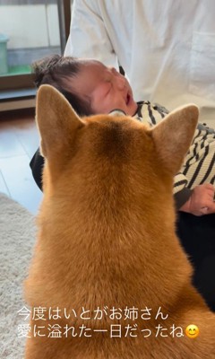 いとちゃんの成長記録⑩