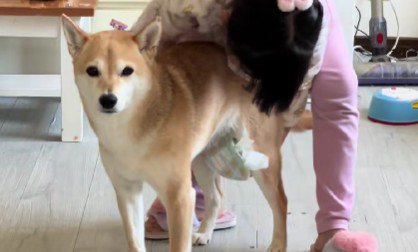 オムツを付けられるシイちゃん