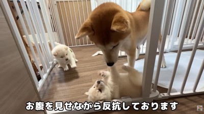 必死な姿が可愛い♡