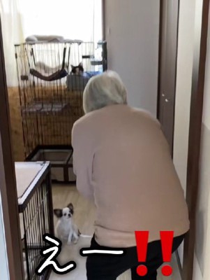 驚きを隠せないおばあちゃん♡