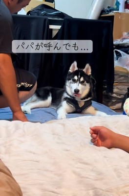 塩対応のアイスくん1