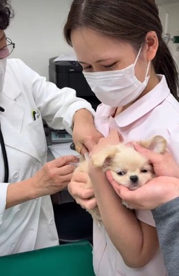 過剰な応援にホッコリ♡