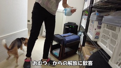 オムツから解放され、大喜び♪