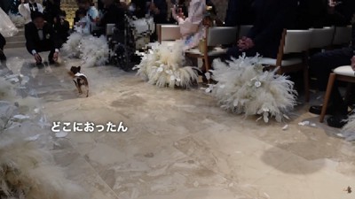 小走りでパパさんのもとへ♪