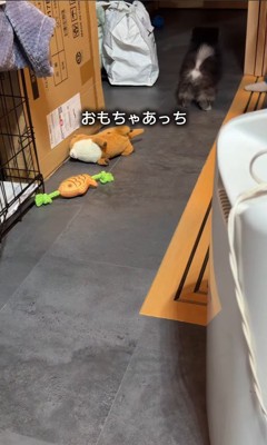 暗いところは怖くて行けない…