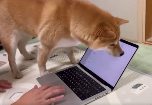 ハムッ