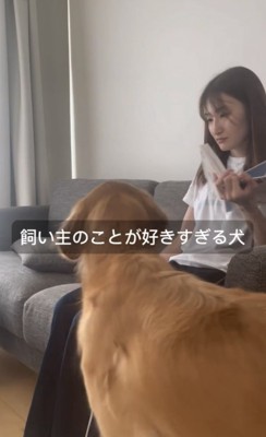 飼い主に近づく犬