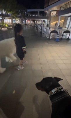 デュークくんは見守りへ