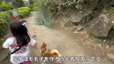 やっぱり仲良しな2人♡