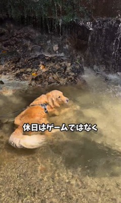 シンくんとお姉ちゃんたち6