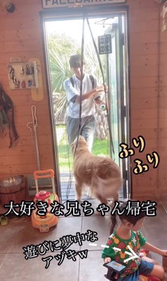 お兄ちゃん帰宅時のボスくん＆ルナちゃん