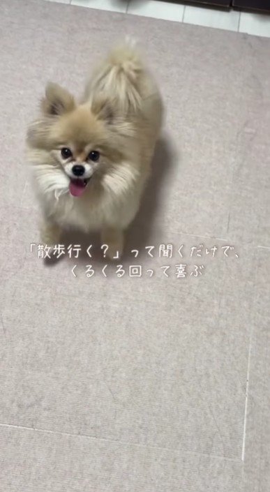 楽しみに待つように♪