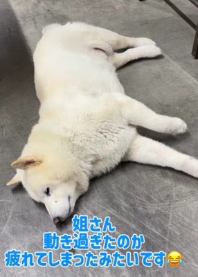 「よく働いたわ~」