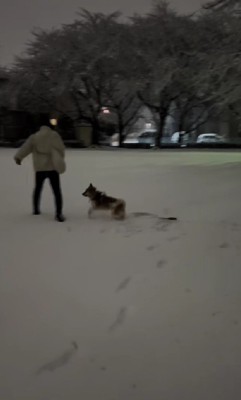 雪の上でもアクティブ