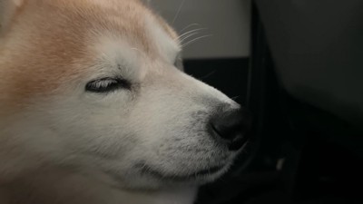 「楽しかったなあ…」