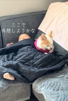 一緒にお昼寝することに