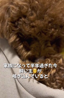 すっかり甘えん坊に♡