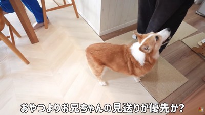 お兄ちゃんを見送りたいけど…
