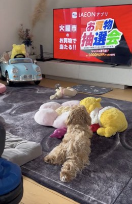 リラックスタイム