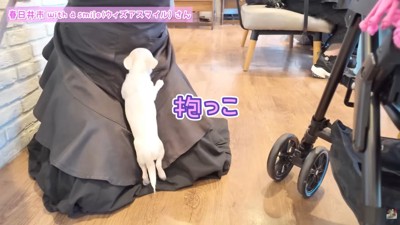 再び甘えん坊モードに♡