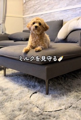 たわし君のナイトルーティン6