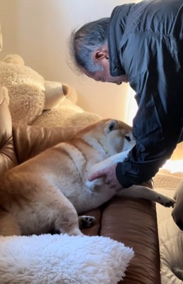 身を預けるるるちゃん