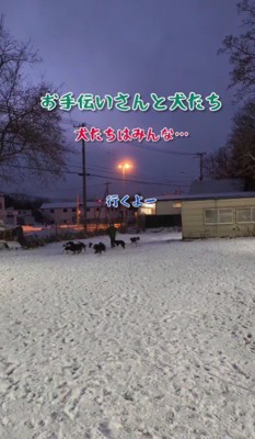 「行くよ～」と言ったら…