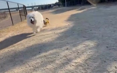 パパとの温度差にクスッ