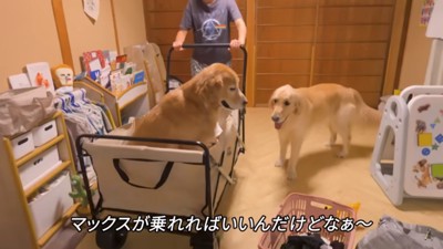 カートにのれないマックスくん