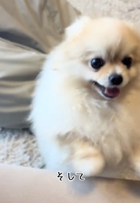 「ママだいすき!!」