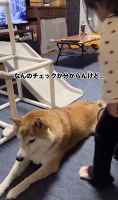 検査内容は謎です