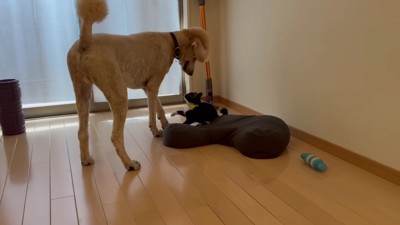 ワンプロを叩き込む