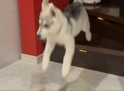 とうっ