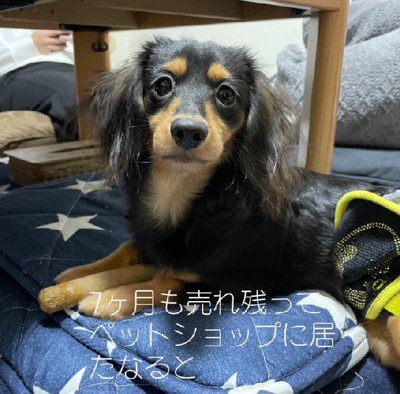 7ヶ月も残ってしまったなるとちゃん