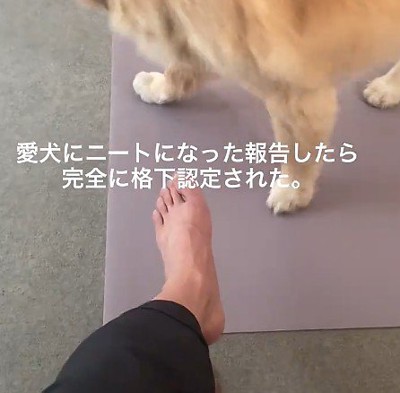 ニートになったと報告したら…