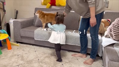 やっと取り返せた♪