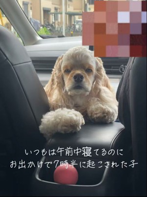 早起きした日のエルくん