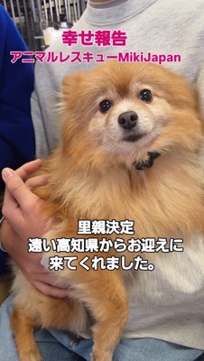 男の子に抱っこされてじっとしている犬