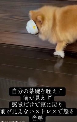 感覚を研ぎ澄ませて…