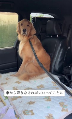 「思いついた!」