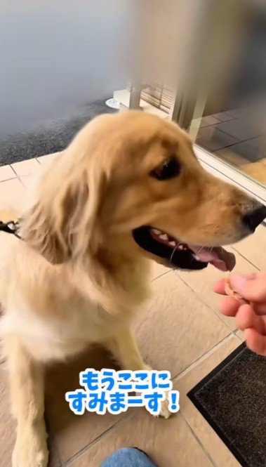 「もう病院に住むわ!」